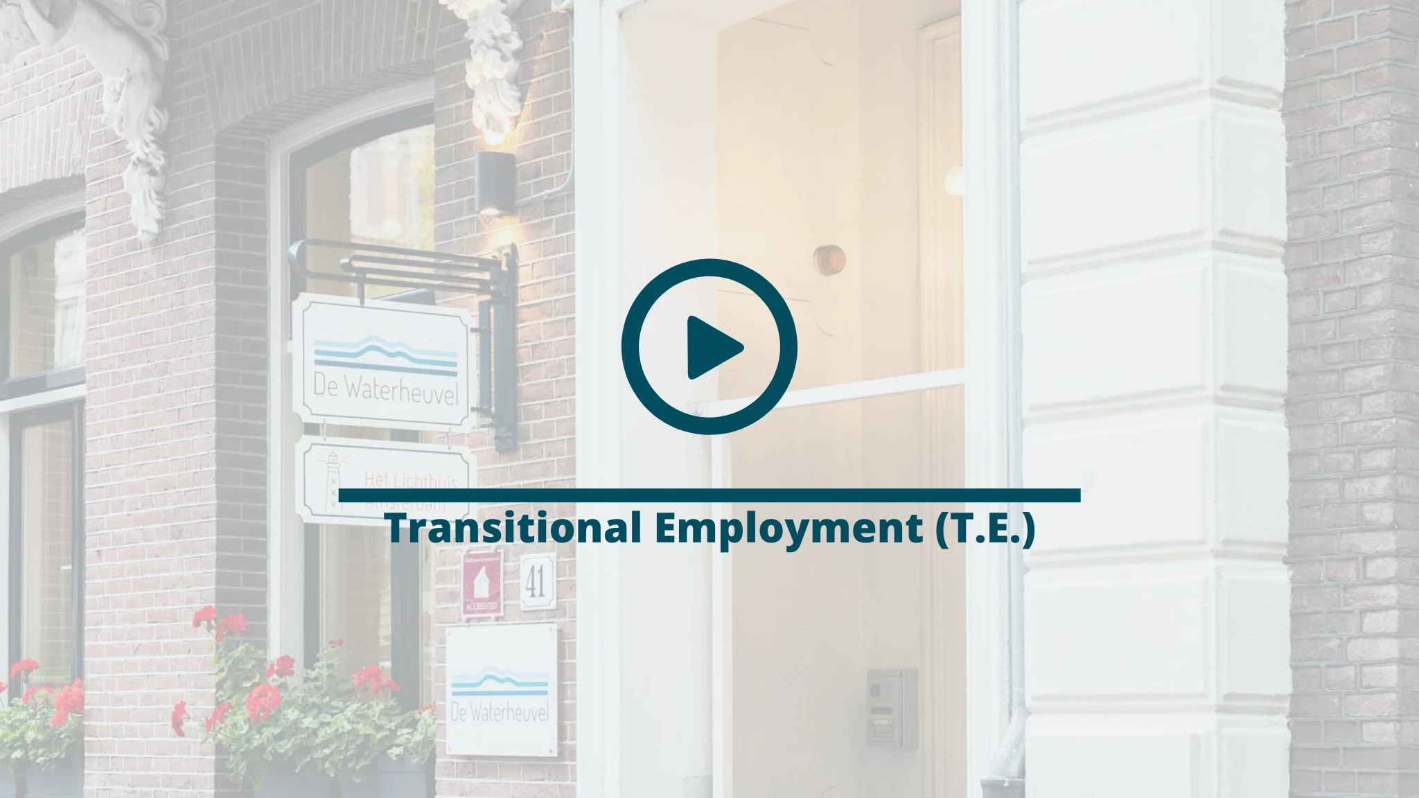 Transitional Employment (T.E.) - Video